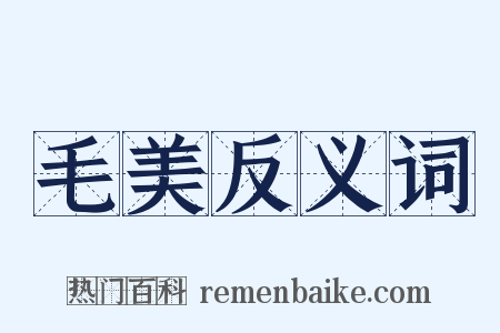 毛美反义词是什么意思的图片